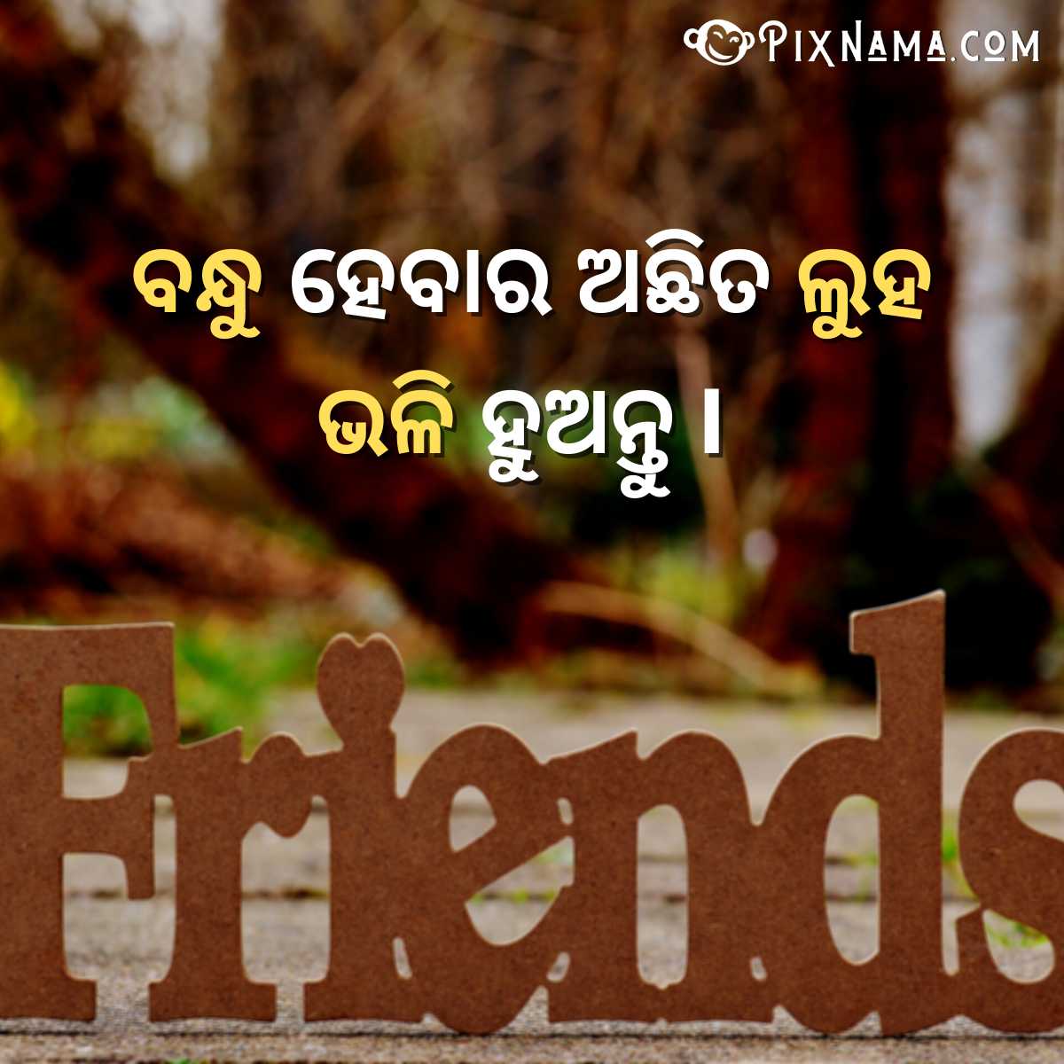 Odia Friendship Shayari Bandhu Hebara
